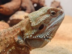 -Zoolung Zoolung动物主题公园(海信广场店)