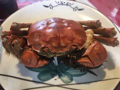 -上膳源有机农场