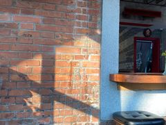 -Boxing Cat Brewery拳击猫精酿啤酒馆(永福店)
