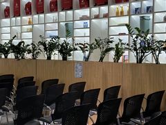 -天鹅到家·保姆月嫂育儿嫂(总店)