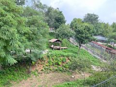 -石家庄市动物园