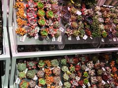 -KKV(深圳宏发大仟里店)