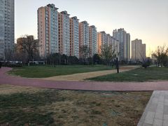 -唐城墙遗址公园