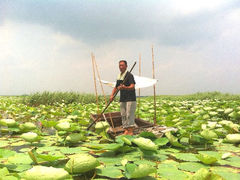 iphone_upload_pic-微山湖红荷湿地景区