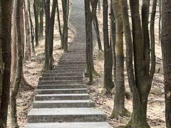 -火炉山森林公园