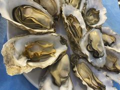 -千岛蚝高压锅生蚝·人参火锅(白云万达店)