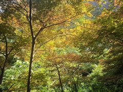 -雁荡山风景名胜区