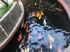-侠成水上农庄(工业大道店)