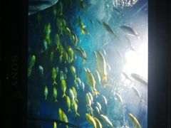 -福州罗源湾海洋世界旅游区