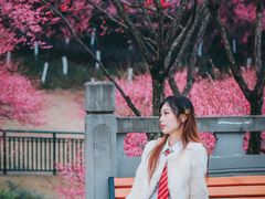 -重庆彩云湖湿地公园