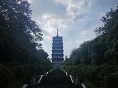 -宜兴龙背山森林公园