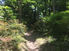 -新江湾城公园
