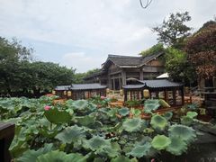 -绿茶餐厅(龙井船宴· 品牌总店)
