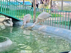 -水上乐园·欢乐世界