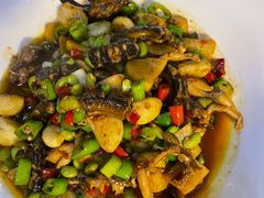 -千岛湖小鱼儿·淳安匠心农家菜