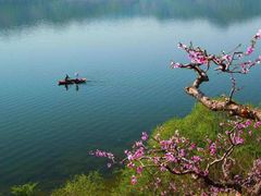-河口景区