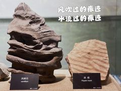 -甘肃地质博物馆