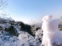 -紫金山天文台