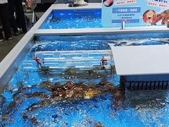 -嘉荣超市(清远万达店)