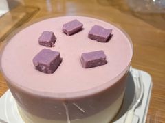 -CAKE BOSS 蛋糕老板(西单君太百货店)