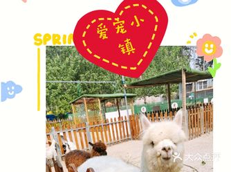 小朋友基本上都喜欢小动物这是他们的天性，让孩子们多与