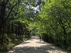 -虞山风景区