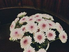 -广州花园酒店荔湾亭·地道点心·粤式饮茶