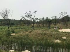 -盘龙城国家考古遗址公园