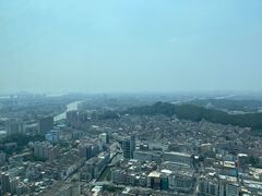 -虎门美思威尔顿酒店(海之光自助餐)