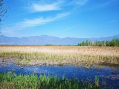 -野鸭湖国家湿地公园