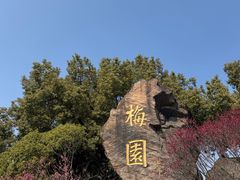 -无锡梅园公园