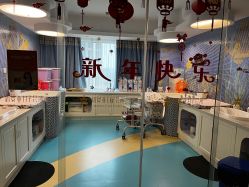 -新寰亚月子会所(盛捷白塘店)
