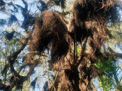 -北海金海湾红树林生态旅游区