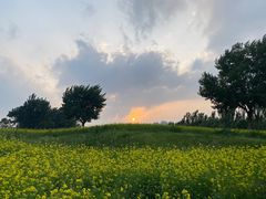 -长白岛森林公园