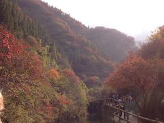 -黄花溪