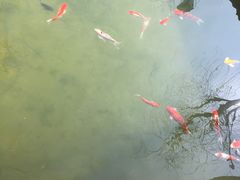 -春风习习