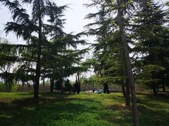 -洨河生态公园