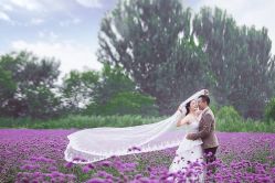 点击看大图 戛纳印象摄影工作室(南开定制店)-戛纳印象摄影(潮拍定制馆)