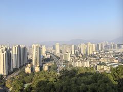 -金鸡山公园