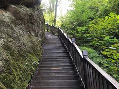-天女山森林公园