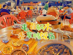 -霞姐屯昌枫木香草鸭店(海螺店)