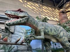 -国家自然博物馆