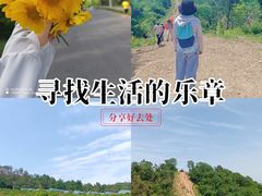 -青龙山国家森林公园