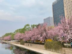 -海棠花溪(元大都城垣遗址公园)