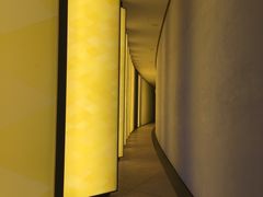-巴黎路易威登基金会艺术中心 