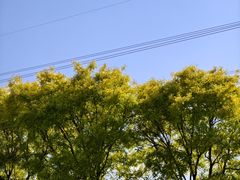 -石家庄市植物园