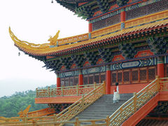 -东莞市大岭山森林公园