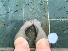 -兴芮温泉度假区