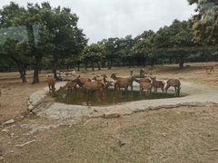 -西安秦岭野生动物园