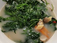 上汤辣椒叶-朱仔记食府(江南大道店)
